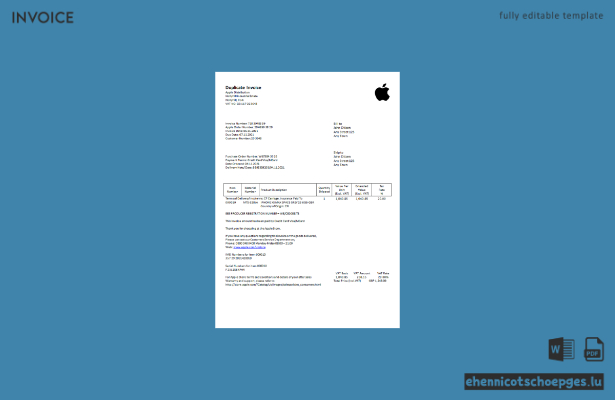 USA Apple-Rechnungsbeispiel (Vorschau)